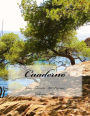 Cuaderno - Gran Tamano - 100 paginas - Coleccion Mar: Diseno Original Tipo 2