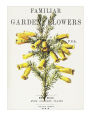 Familiar Garden Flowers: Yellow Heath: Decorative Notebook+Journal (8.5