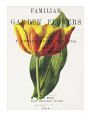 Familiar Garden Flowers: Early Tulip: Decorative Notebook+Journal (8.5