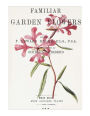 Familiar Garden Flowers: Rosy Clarkia: Decorative Notebook+Journal (8.5