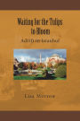 Waiting for the Tulips to Bloom: Adrift in Istanbul