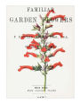 Familiar Garden Flowers: Salvia: Decorative Notebook+Journal (8.5