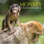 Monkey Calendar 2016: 16 Month Calendar