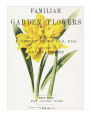 Familiar Garden Flowers: Double Trumpet Daffodil: Decorative Notebook+Journal (8.5