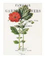 Familiar Garden Flowers: Avens: Decorative Notebook+Journal (8.5