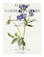 Familiar Garden Flowers: Greek Valerian: Decorative Notebook+Journal (8.5