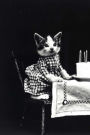 Mind Blowing Kitty Birthday Party Journal: 150 page lined jouranl