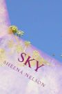 Sky: madness and mayhem of the mind in poignant poetry