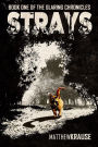 Strays: Book One of The Glaring Chronicles