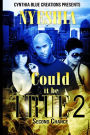 Could It Be True 2: Second Chance