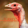 Turkey Calendar 2016: 16 Month Calendar