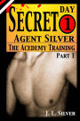 Secret Agent Silver: Book 1; Part 1