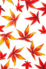 Mind Blowing Red Autumn Journal: 150 page lined journal