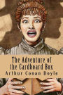 The Adventure of the Cardboard Box