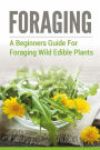 Foraging: A Beginners Guide To Foraging Wild Edible Plants