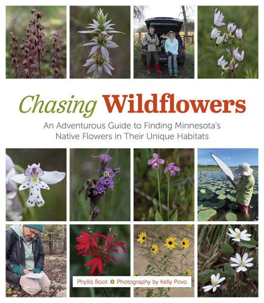 Chasing Wildflowers: An Adventurous Guide to Finding Minnesota's Native Flowers in their Unique Habitats