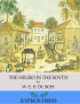 The Negro in the South
