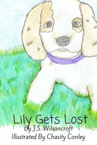 Title: Lily Gets Lost, Author: Chasity Conley