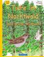 BROCKHAUSEN - Tiere im Nachtwald - Das große Malbuch