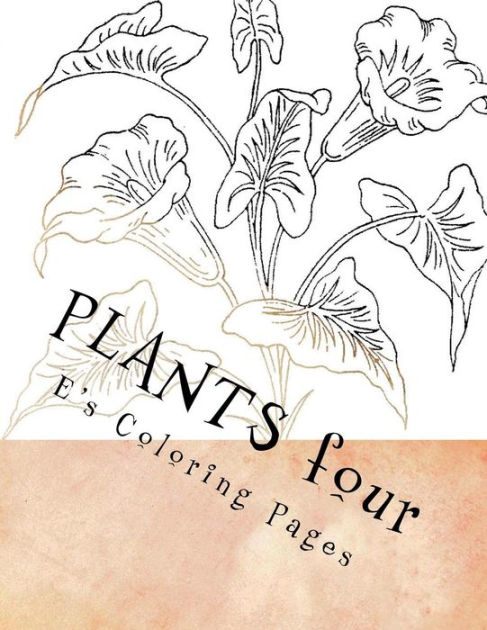 Plants Four Paperback