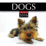 Dogs Calendar 2016: 16 Month Calendar