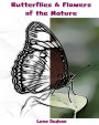 Butterflies & Flowers of the Nature: Adult Coloring Book, Design Coloring Book (Volume 1)