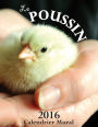 Le Poussin Calendrier Mural (Edition France)