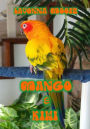Mango & Kiwi