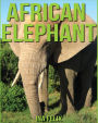 African Elephant