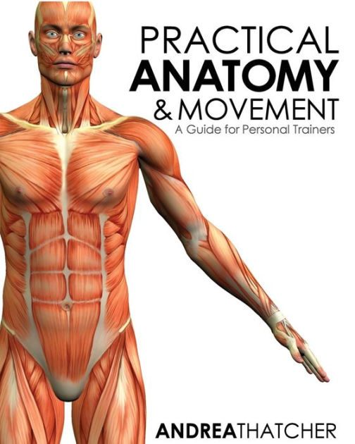 anatomy of movement ebook