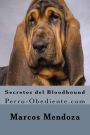 Secretos del Bloodhound: Perro-Obediente.com