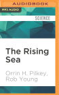 The Rising Sea