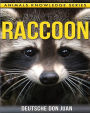 Raccoon: Beautiful Pictures & Interesting Facts Children Book About Raccoon's