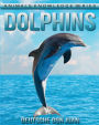 Dolphins: Beautiful Pictures & Interesting Facts Children Book About Dolphins