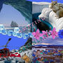 Amazing Greenland