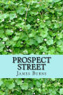 Prospect Street