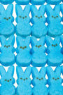 Blue Bunny Easter Candy Journal: 150 page lined notebook/diary