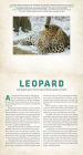 Alternative view 2 of Wild: Endangered Animals in Living Motion