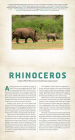 Alternative view 3 of Wild: Endangered Animals in Living Motion