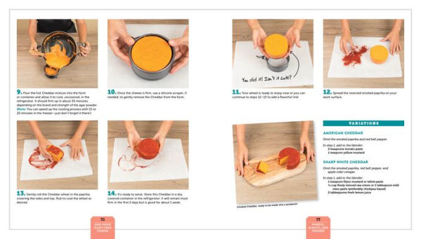 One-Hour Dairy-Free Cheese: Make Mozzarella, Cheddar, Feta, and Brie-Style Cheeses-Using Nuts, Seeds, and Vegetables