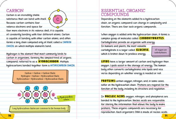 Everything You Need to Ace Biology in One Big Fat Notebook