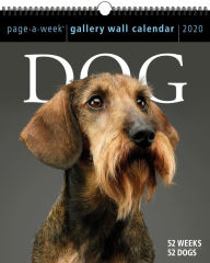 2020 Dog Page-A-Week Gallery Wall Calendar