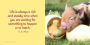 Alternative view 10 of It's the Little Things: The Pocket Pigs' Guide to Living Your Best Life (Inspiration Book, Gift Book, Life Lessons, Mini Pigs)