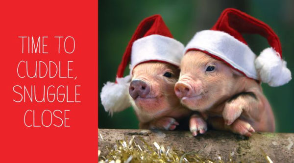 Pocket Piggies: Christmas!