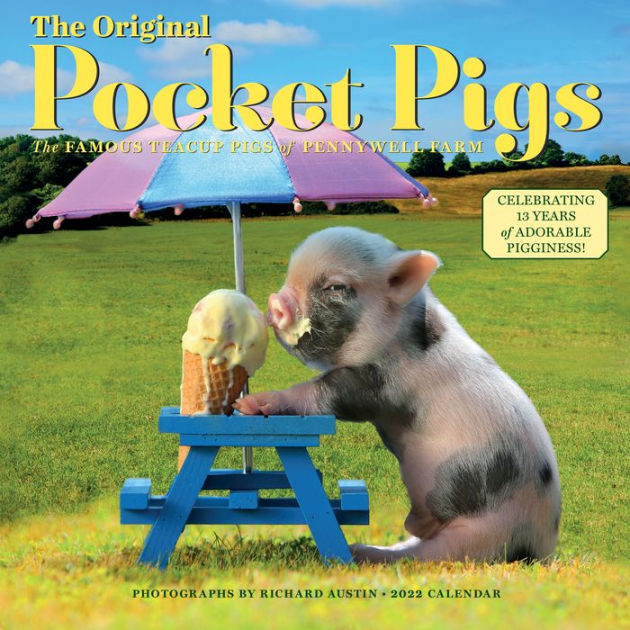 2022 The Original Pocket Pigs Wall Calendar by Richard Austin, Workman