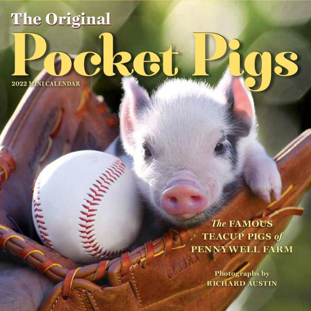 The Original Pocket Pigs Mini Wall Calendar 2022 by Richard Austin