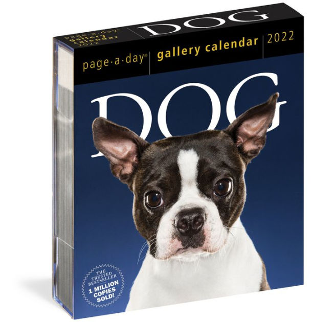 2022 Dog Page A Day Gallery Calendar by Workman Calendars Barnes Noble®