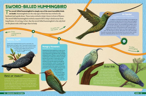 Dinosaurs to Chickens: How Evolution Works