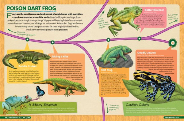 Dinosaurs to Chickens: How Evolution Works