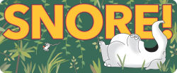 Alternative view 5 of Jungle Night (comes with 2 free audio downloads, Yo-Yo Ma, cello)